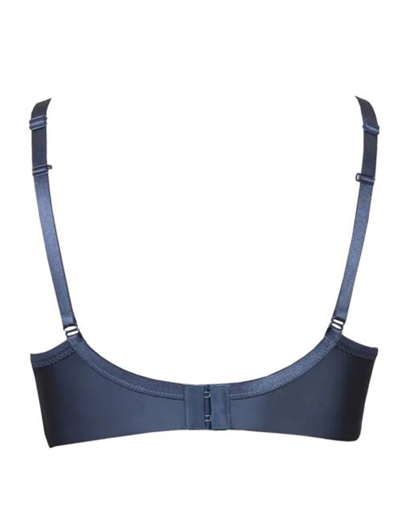 Charnos Delice High Apex Plunge Bra Ink - Image 4