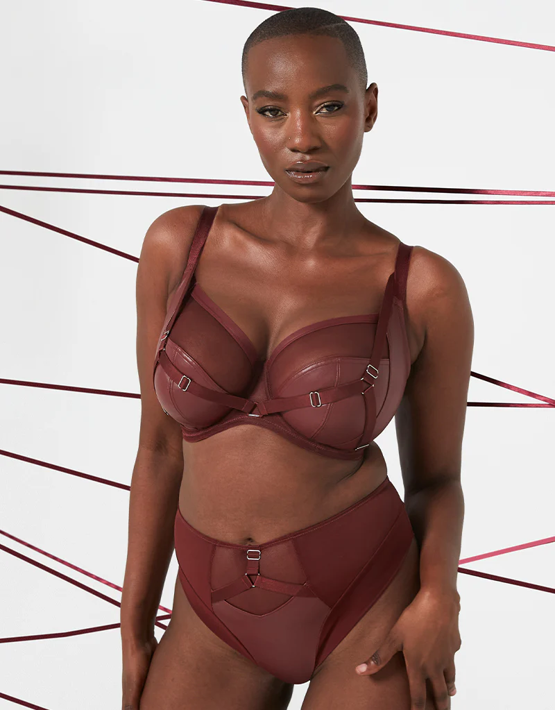Curvy Kate Enclose High Waist Brief Oxblood - Image 5