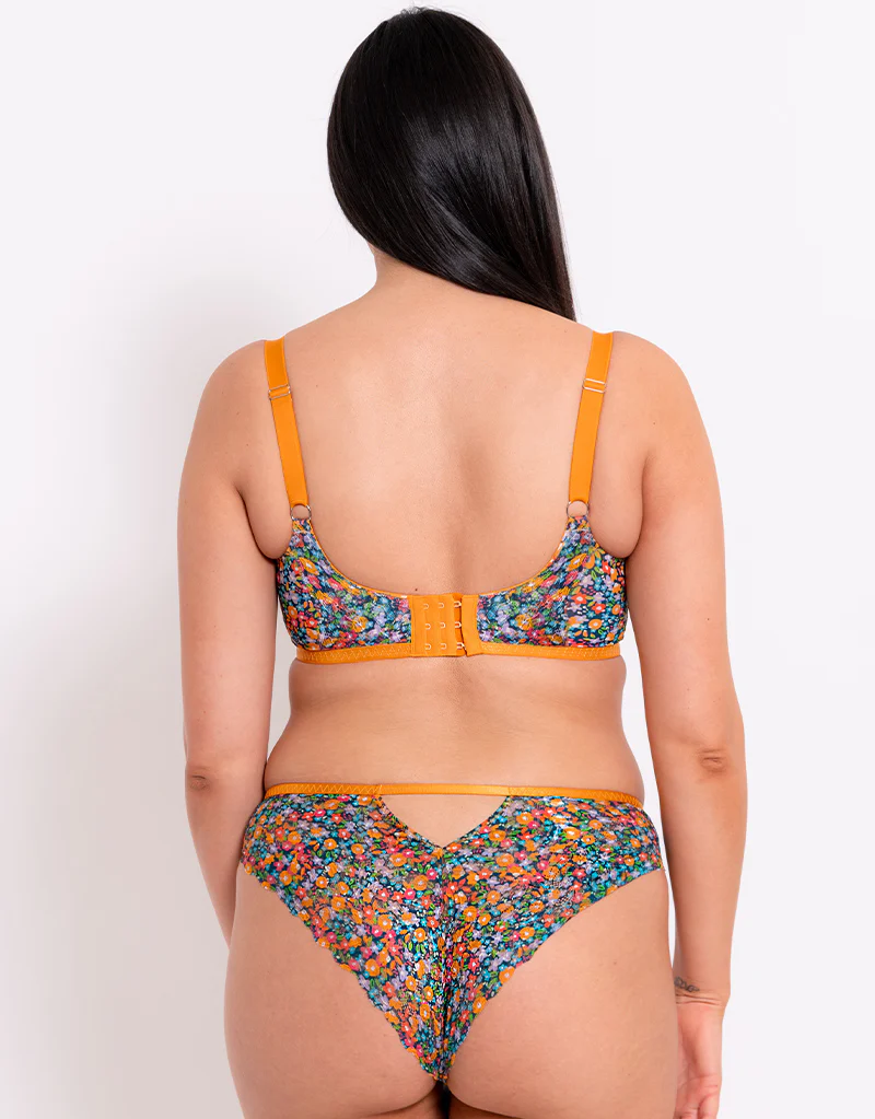 Curvy Kate Lace Daze Brazilian Brief Floral Print - Image 4