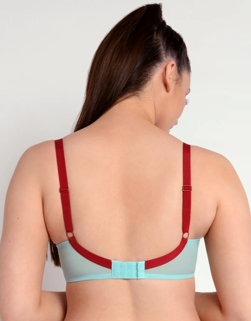 Curvy Kate Lifestyle Lace Plunge Bra Blue/Red - Image 5