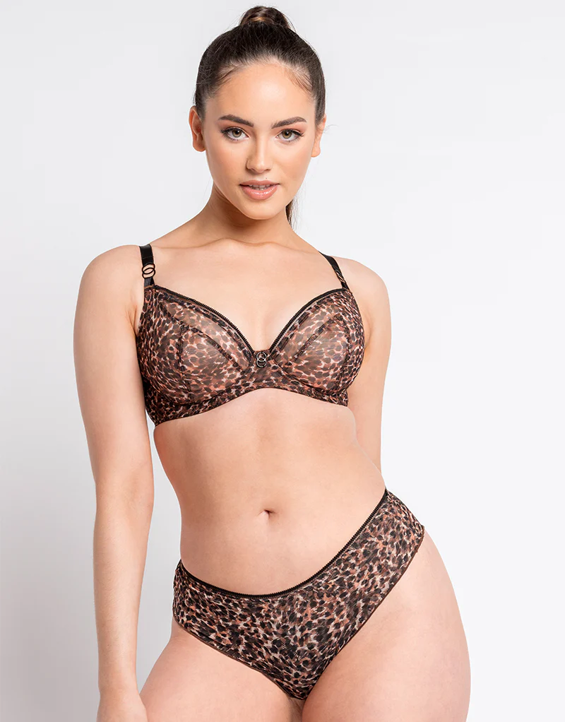 Curvy Kate Lifestyle Short Animal Print - Image 3