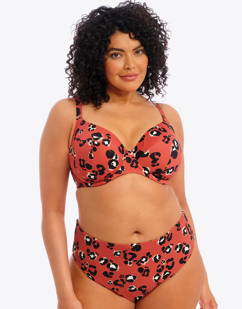 Elomi Kotiya Mid Rise Bikini Brief Terracotta - Image 4