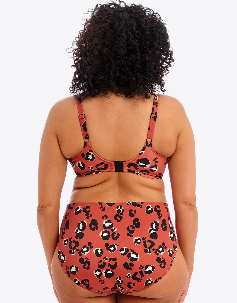 Elomi Kotiya Mid Rise Bikini Brief Terracotta - Image 5