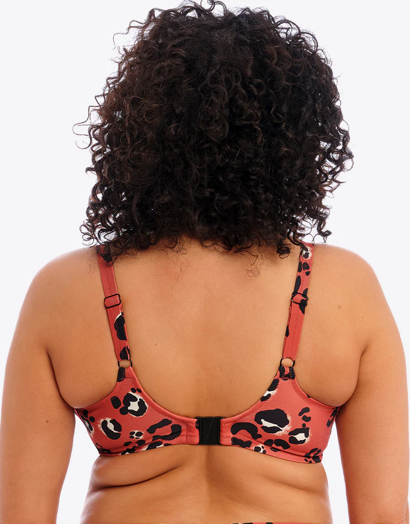 Elomi Kotiya Plunge Bikini Top Terracotta - Image 4