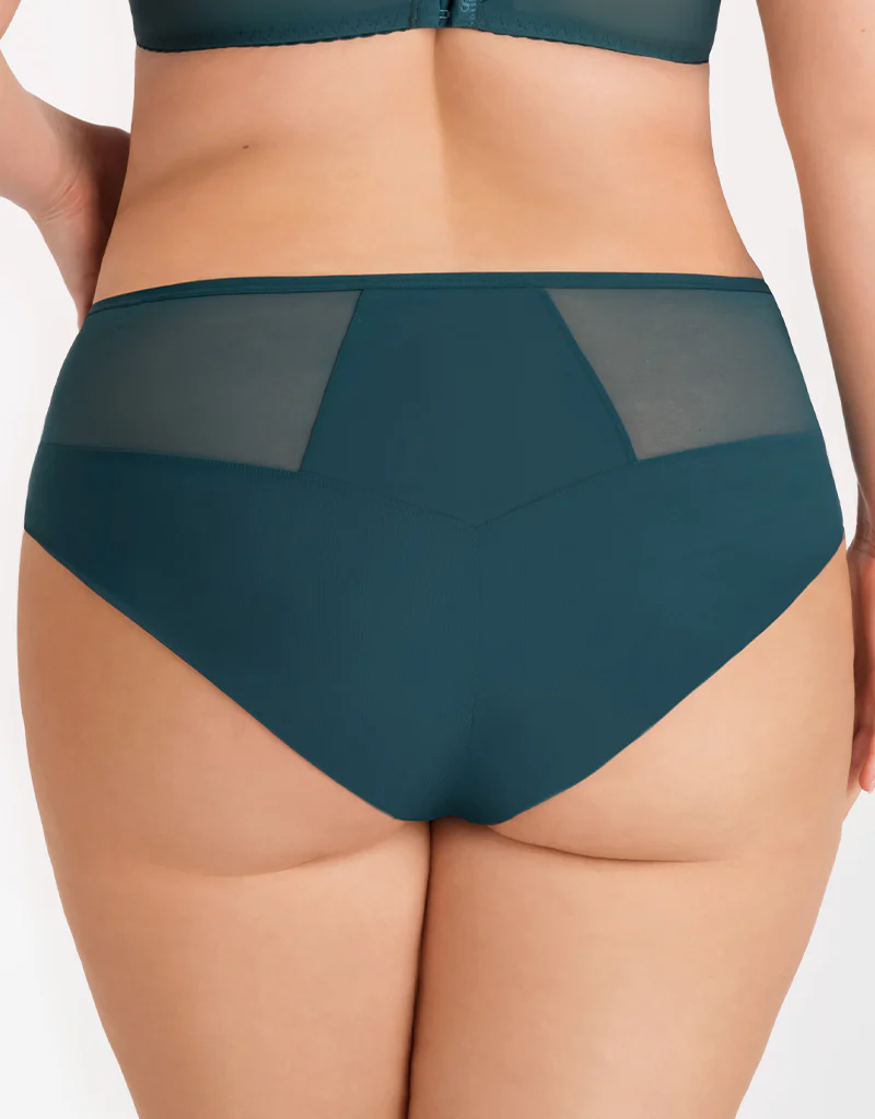 Gorsenia Massima Brief Green - Image 2