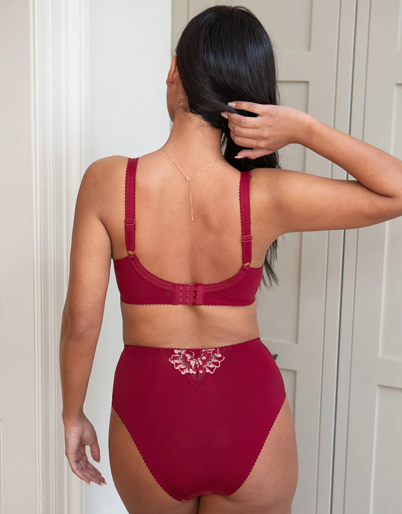 Pour Moi Sofia Lace Embroidered Side Support Bra Red - Image 6