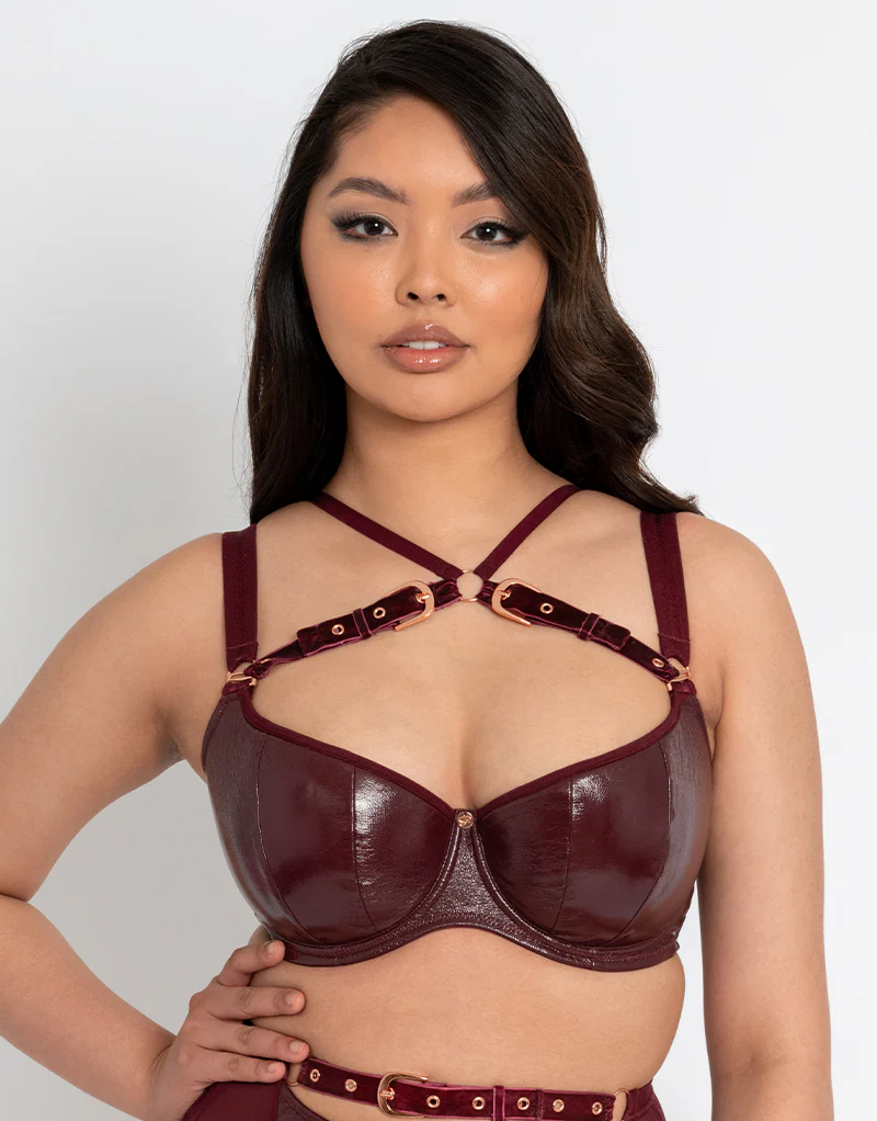 Scantilly Buckle Up Padded Half Cup Bra Oxblood - Image 3