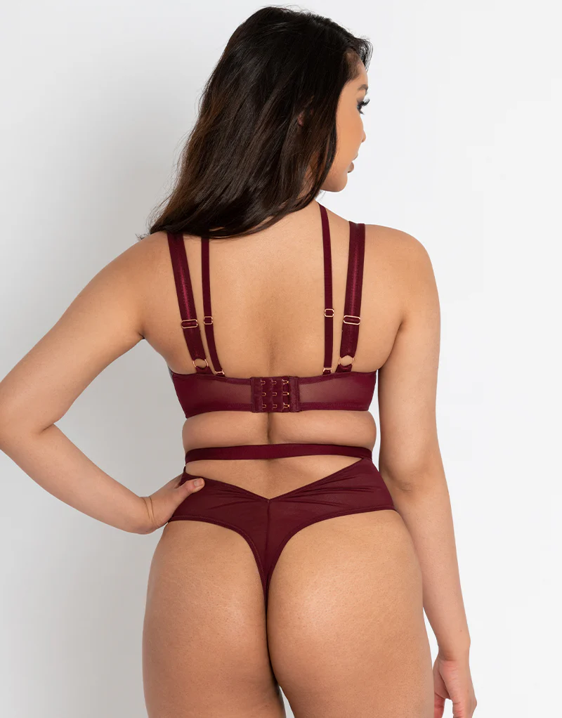 Scantilly Buckle Up Padded Half Cup Bra Oxblood - Image 6
