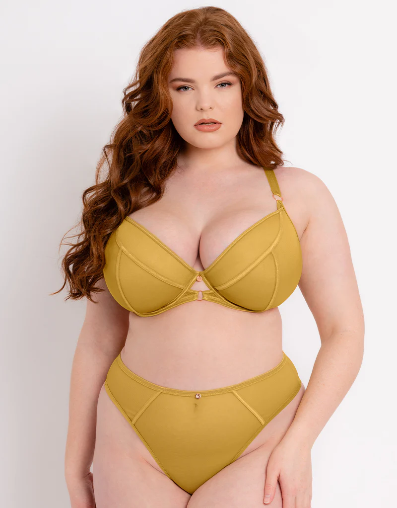 Scantilly Exposed High Waist Thong Ochre - Image 3