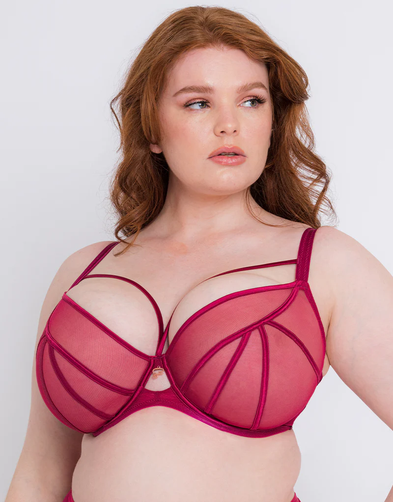 Scantilly Senses Plunge Bra Cherry - Image 3