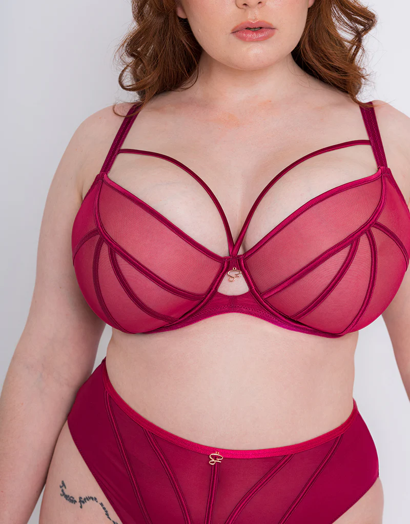 Scantilly Senses Plunge Bra Cherry - Image 7