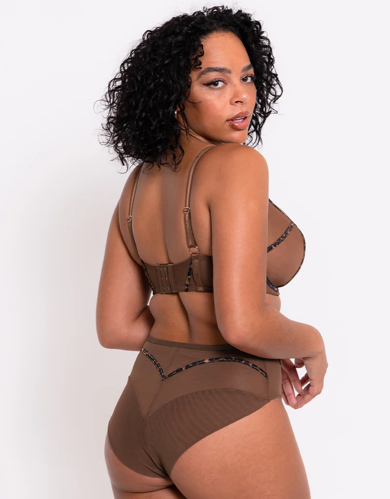 Scantilly Senses Plunge Bra Leopard Brown - Image 6