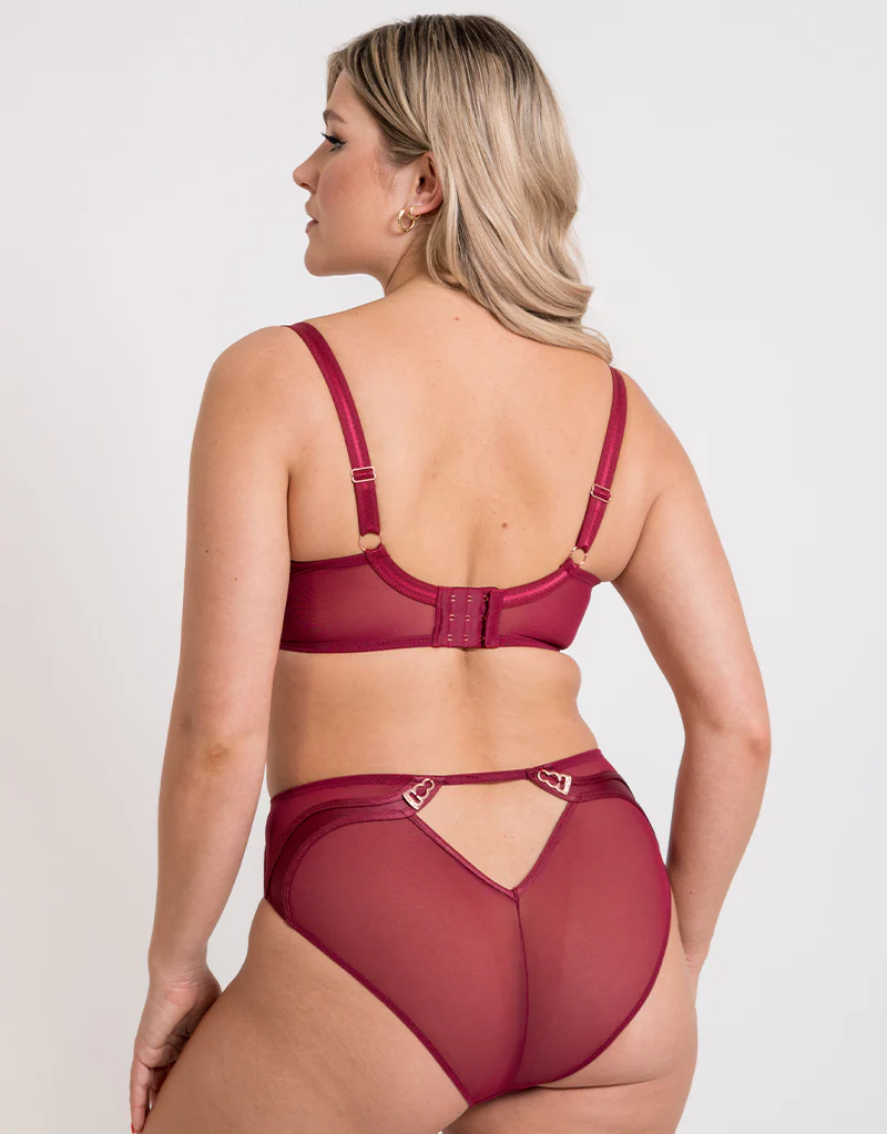 Scantilly Suspense Plunge Bra Sangria - Image 6