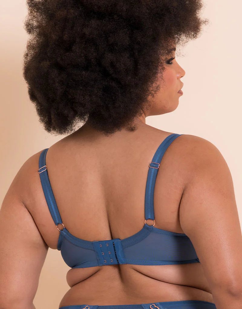 Scantilly Suspense Plunge Bra French Blue - Image 5