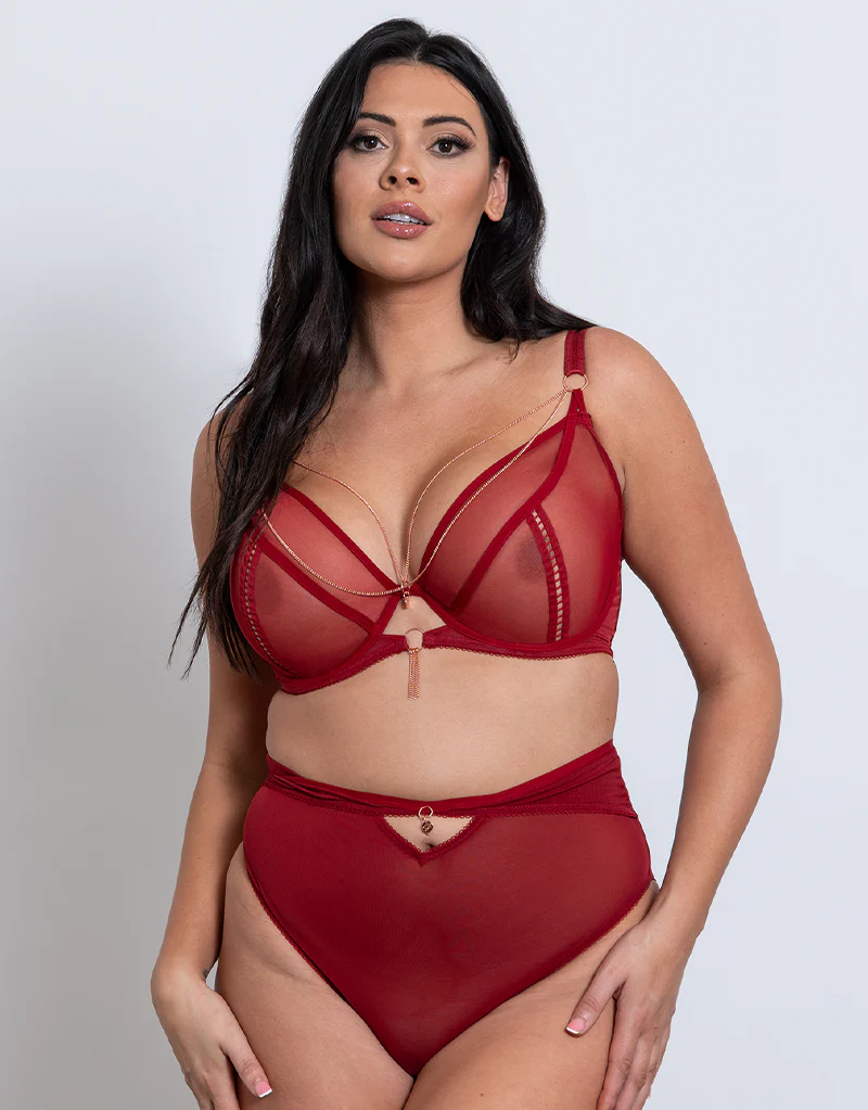 Scantilly Unchained Plunge Bra Deep Red - Image 6